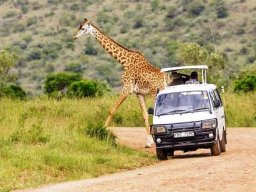 Best Game Parks to Visit in Kenya